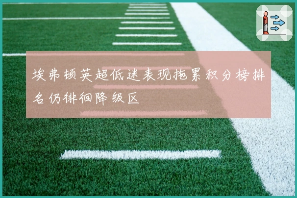 埃弗顿英超低迷表现拖累积分榜排名仍徘徊降级区